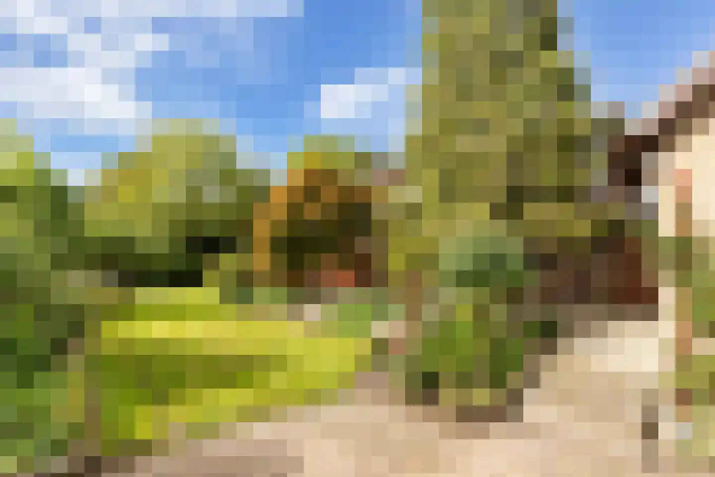 Waardsedijk 19 Woerden thumbnail 4