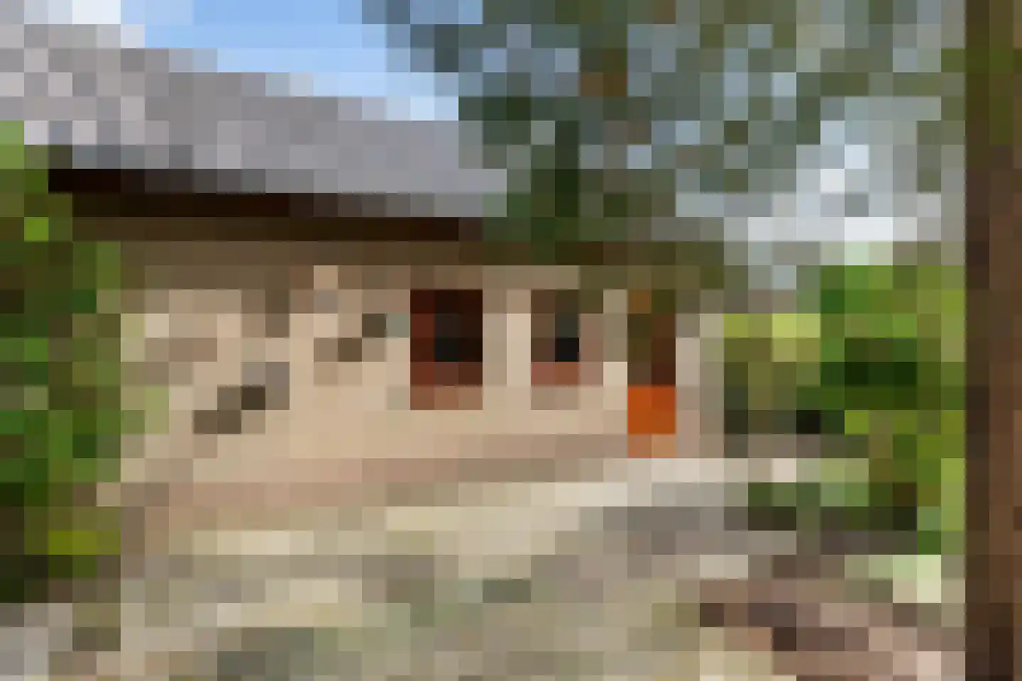 Waardsedijk 19 Woerden thumbnail 42
