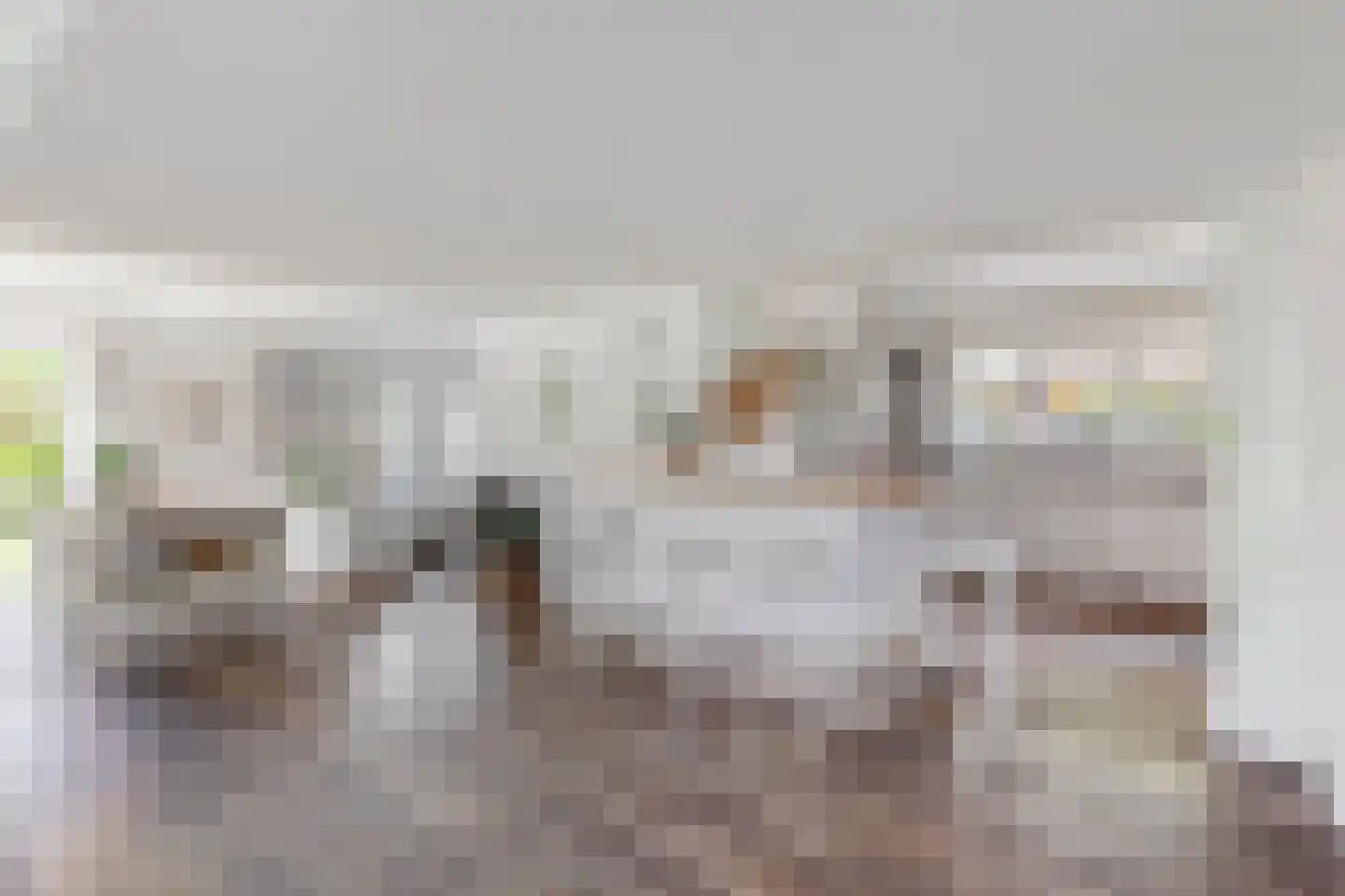 Waardsedijk 4 Woerden thumbnail 11