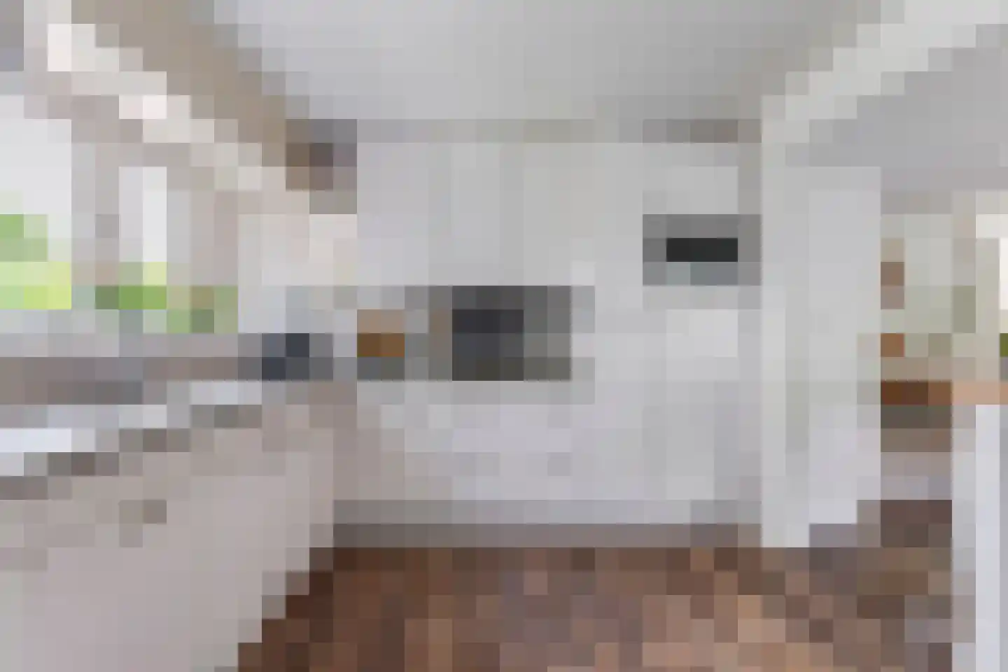 Waardsedijk 4 Woerden thumbnail 13