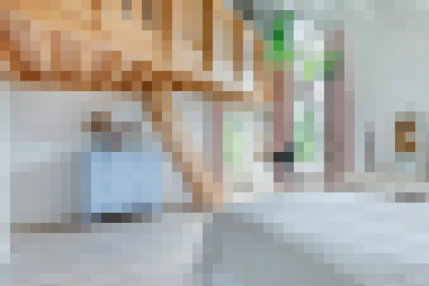 Waardsedijk 4 Woerden thumbnail 30