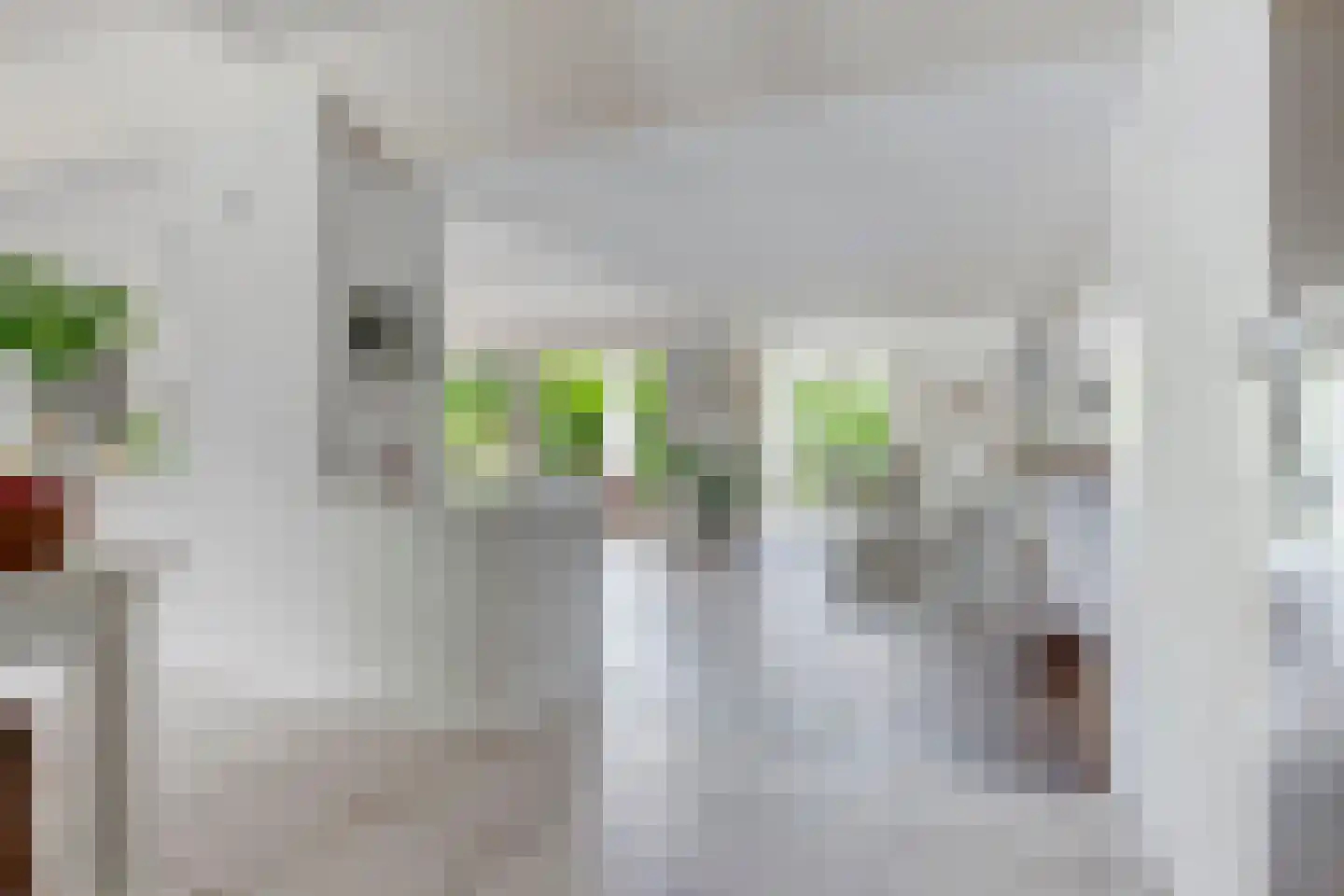 Waardsedijk 4 Woerden thumbnail 4