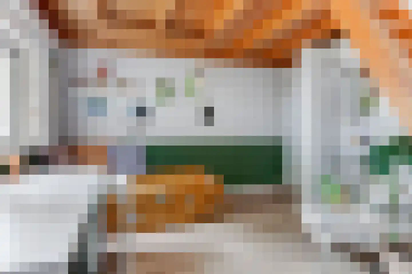 Waardsedijk 4 Woerden thumbnail 40