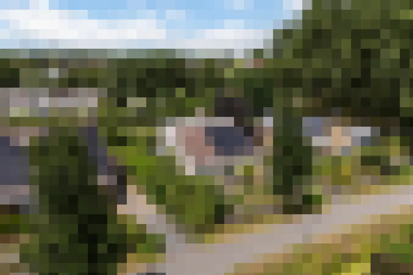 Waardsedijk 4 Woerden thumbnail 52