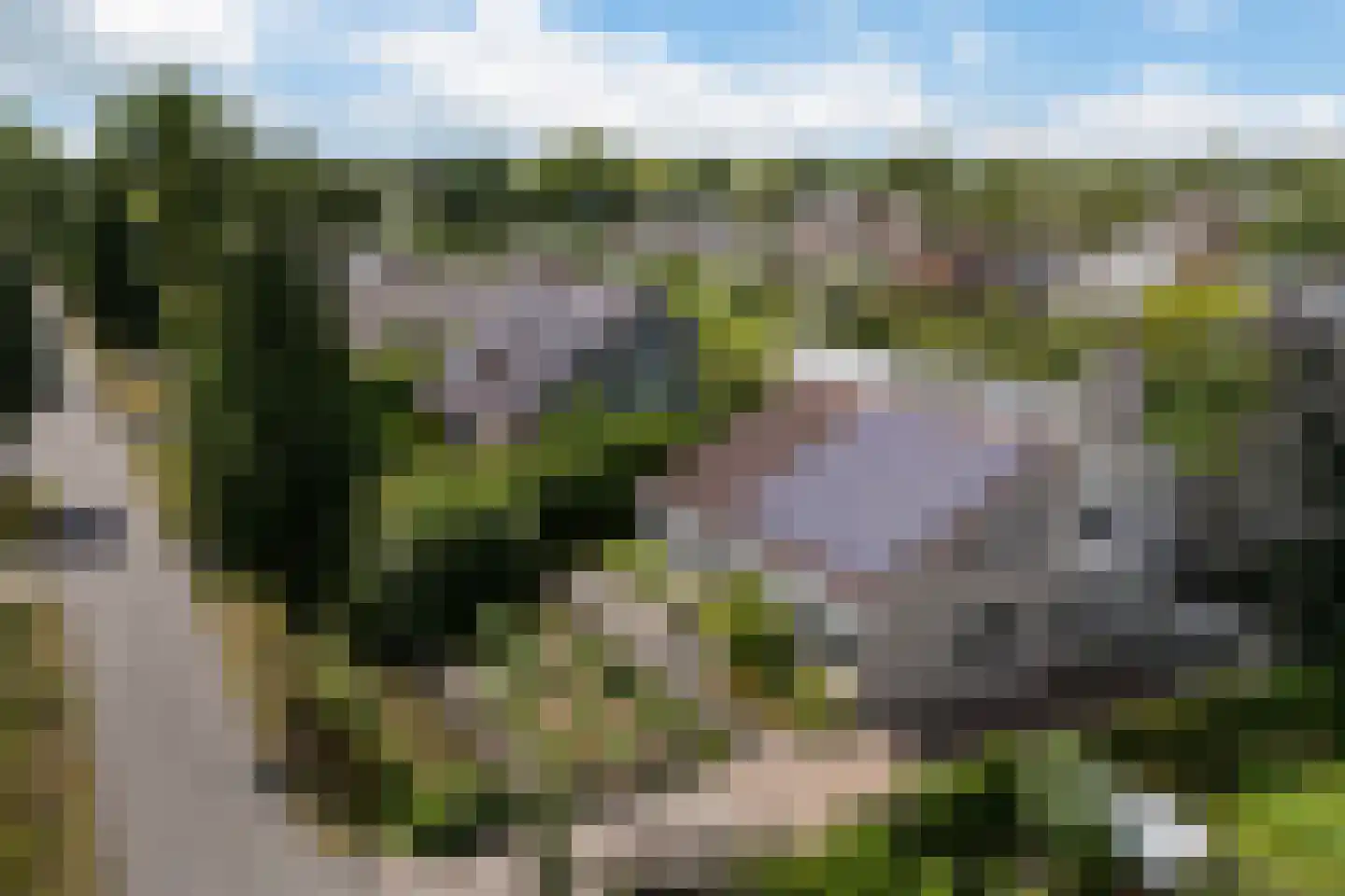 Waardsedijk 4 Woerden thumbnail 53