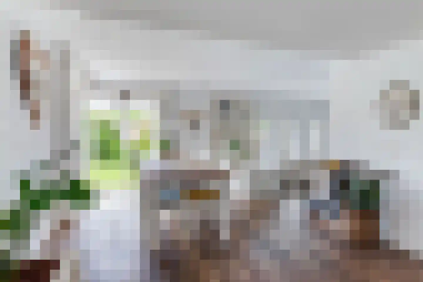 Waardsedijk 4 Woerden thumbnail 7