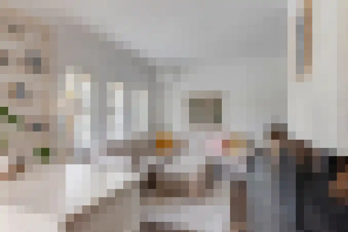 Waardsedijk 4 Woerden thumbnail 8