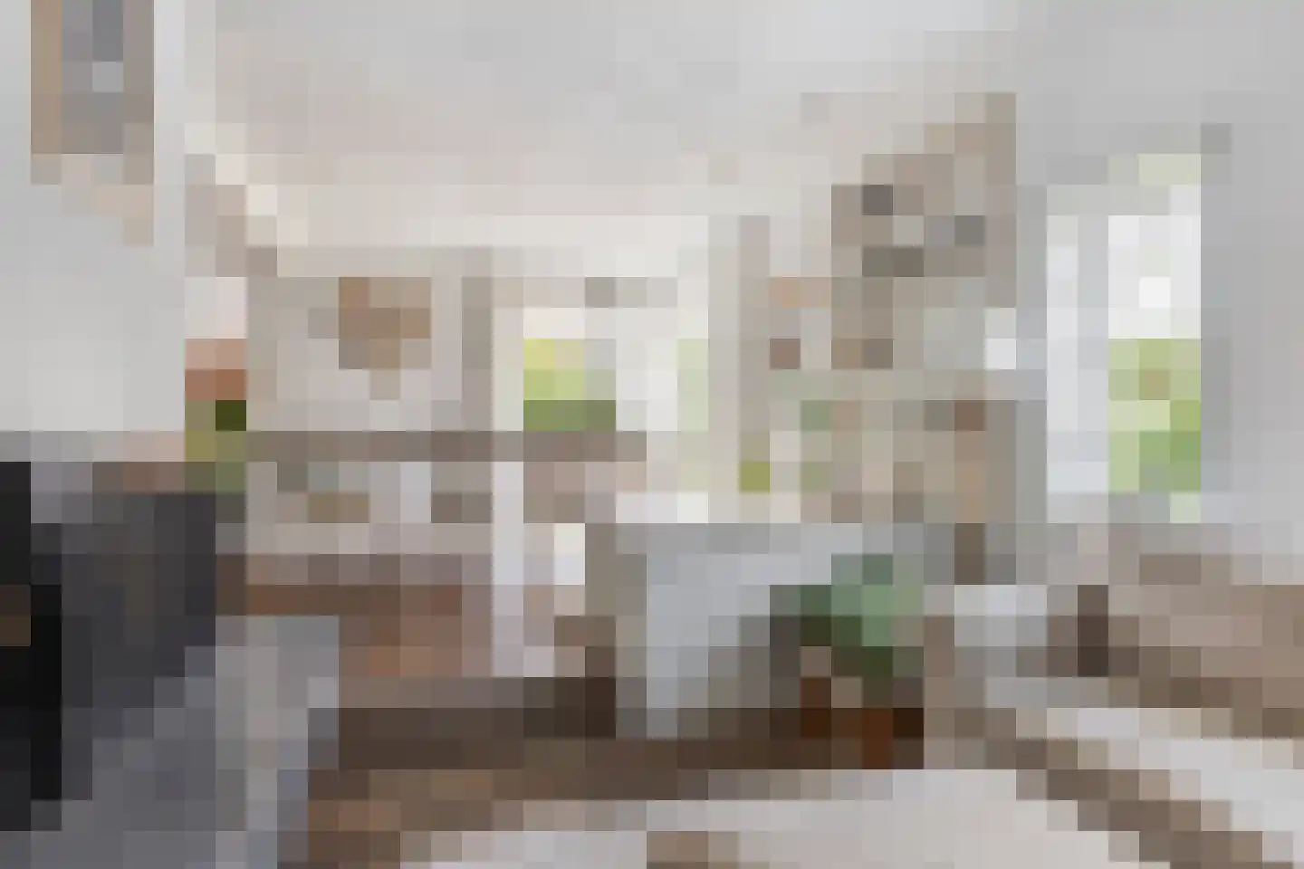 Waardsedijk 4 Woerden thumbnail 9