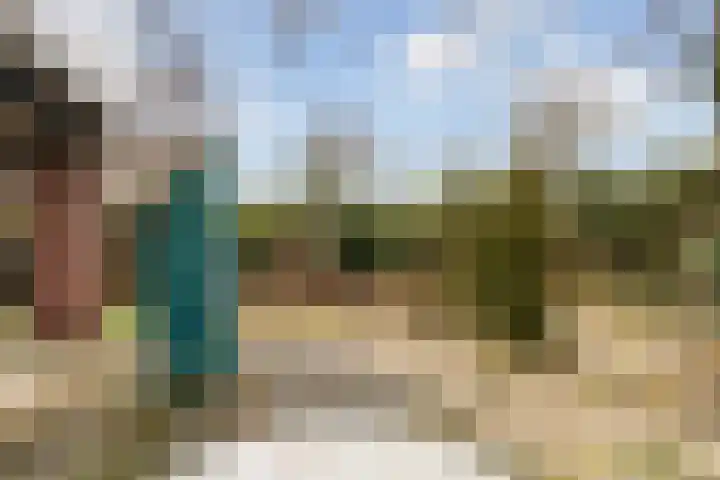 Waardsedijk 6 Woerden thumbnail 31