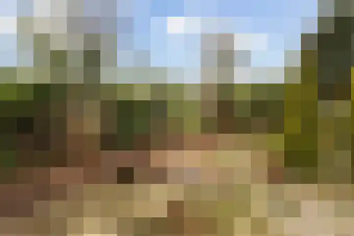 Waardsedijk 6 Woerden thumbnail 32