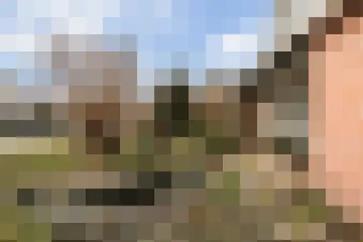 Waardsedijk 6 Woerden thumbnail 60