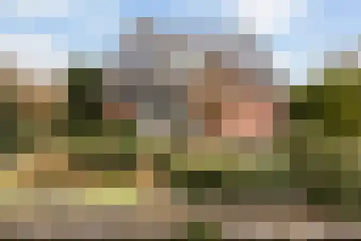 Waardsedijk 6 Woerden thumbnail 61