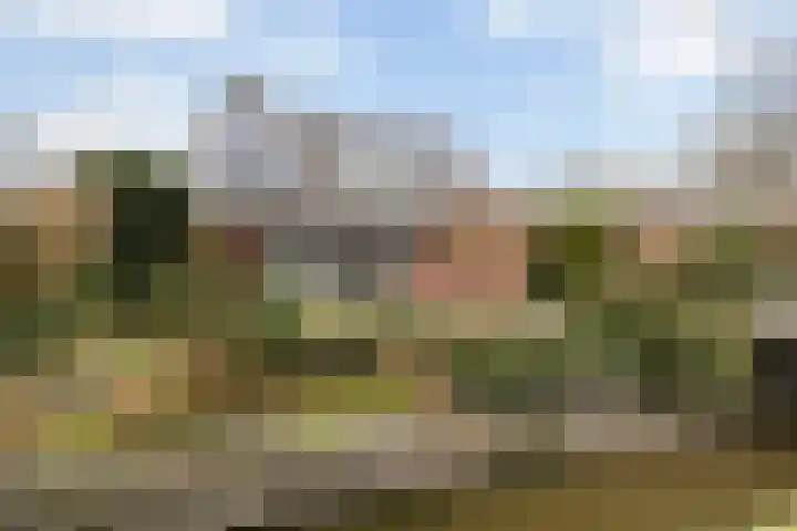 Waardsedijk 6 Woerden thumbnail 62