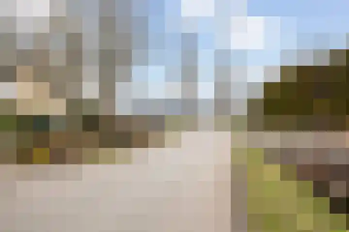 Waardsedijk 6 Woerden thumbnail 64