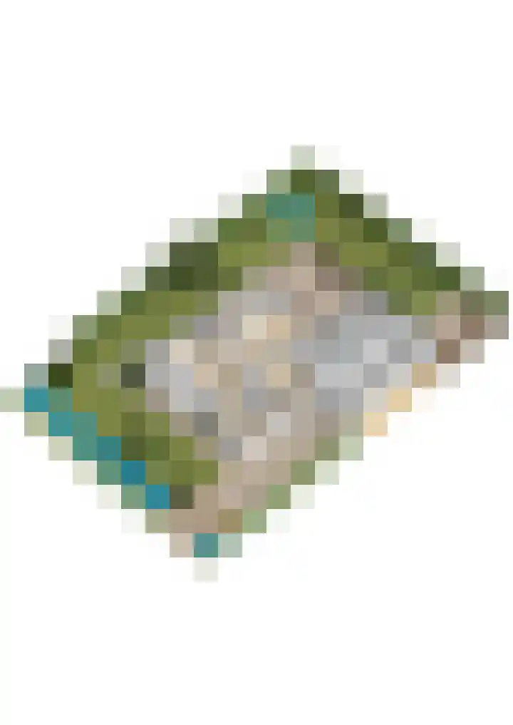 Waardsedijk 6 Woerden thumbnail 67