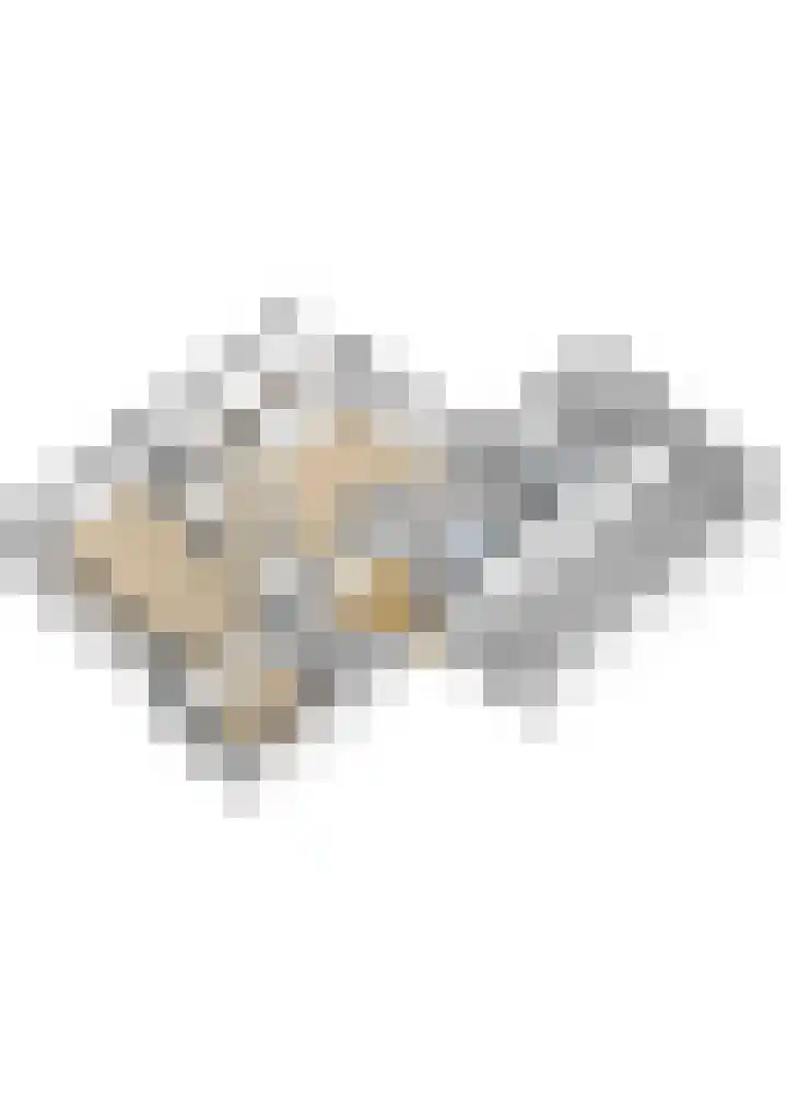 Waardsedijk 6 Woerden thumbnail 69