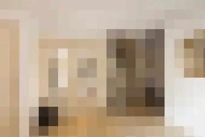 Waardsedijk 6 Woerden thumbnail 7