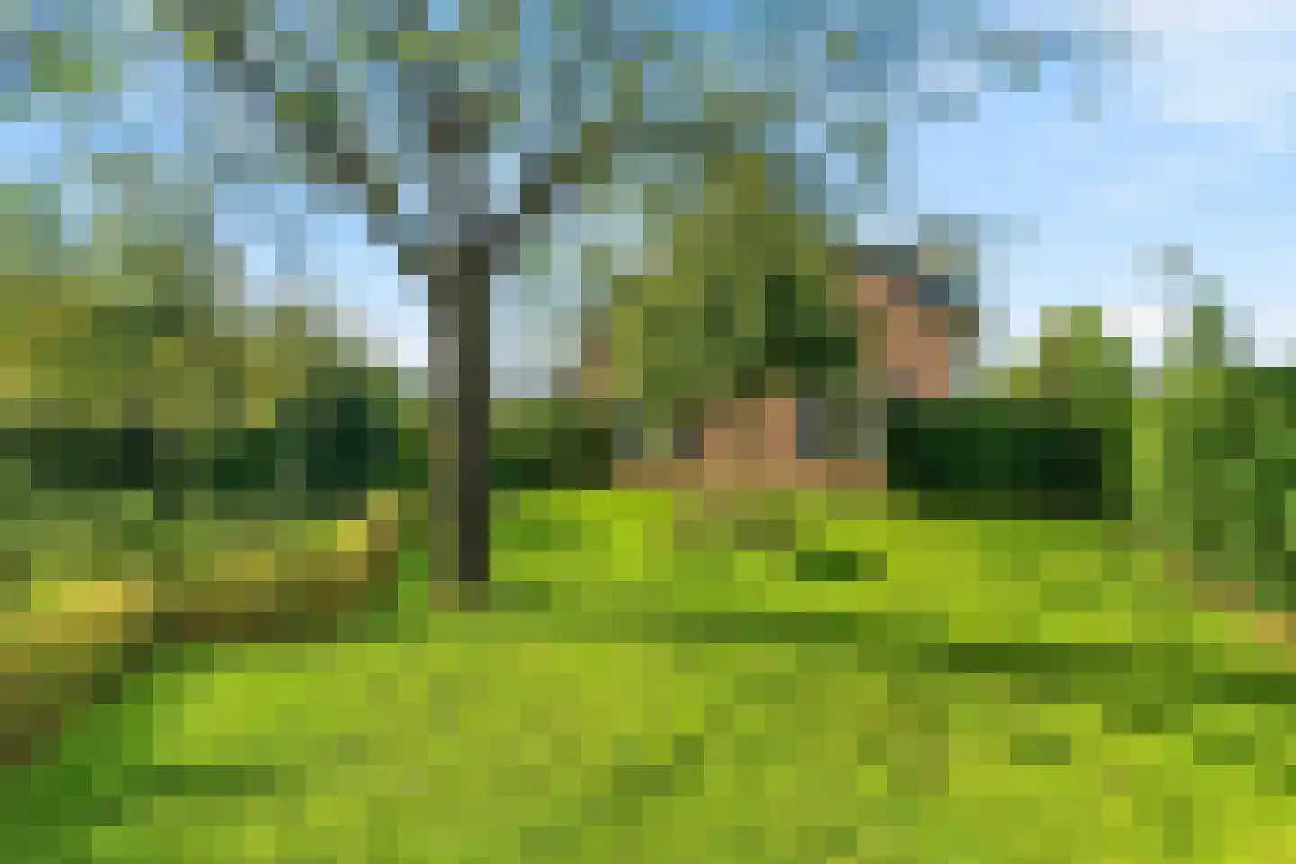 Waardsmanscamp 1 Zevenaar thumbnail 51