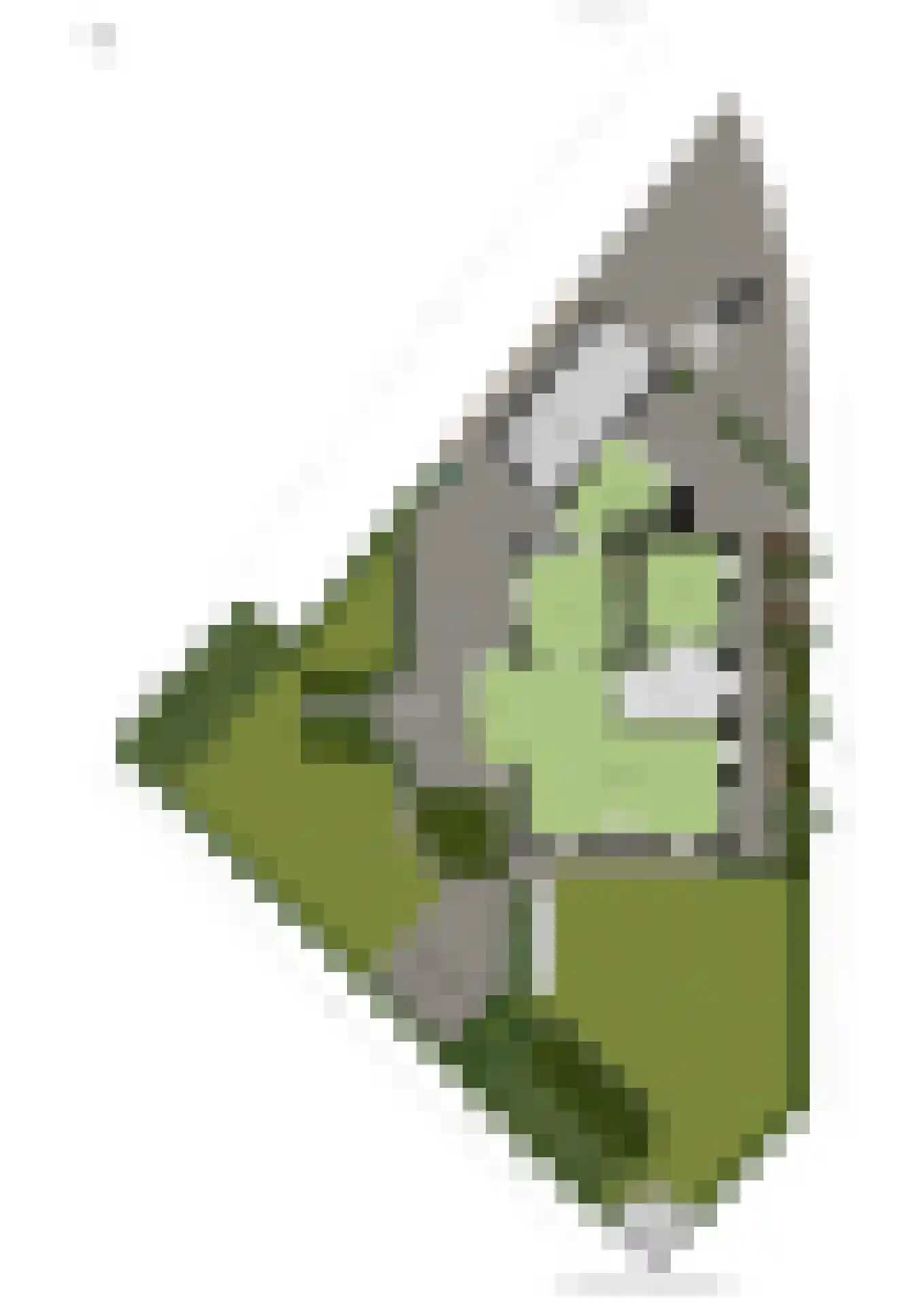 Waardsmanscamp 1 Zevenaar thumbnail 66