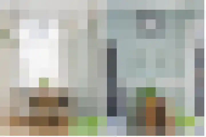 Waardstraat 6 Leiden thumbnail 6
