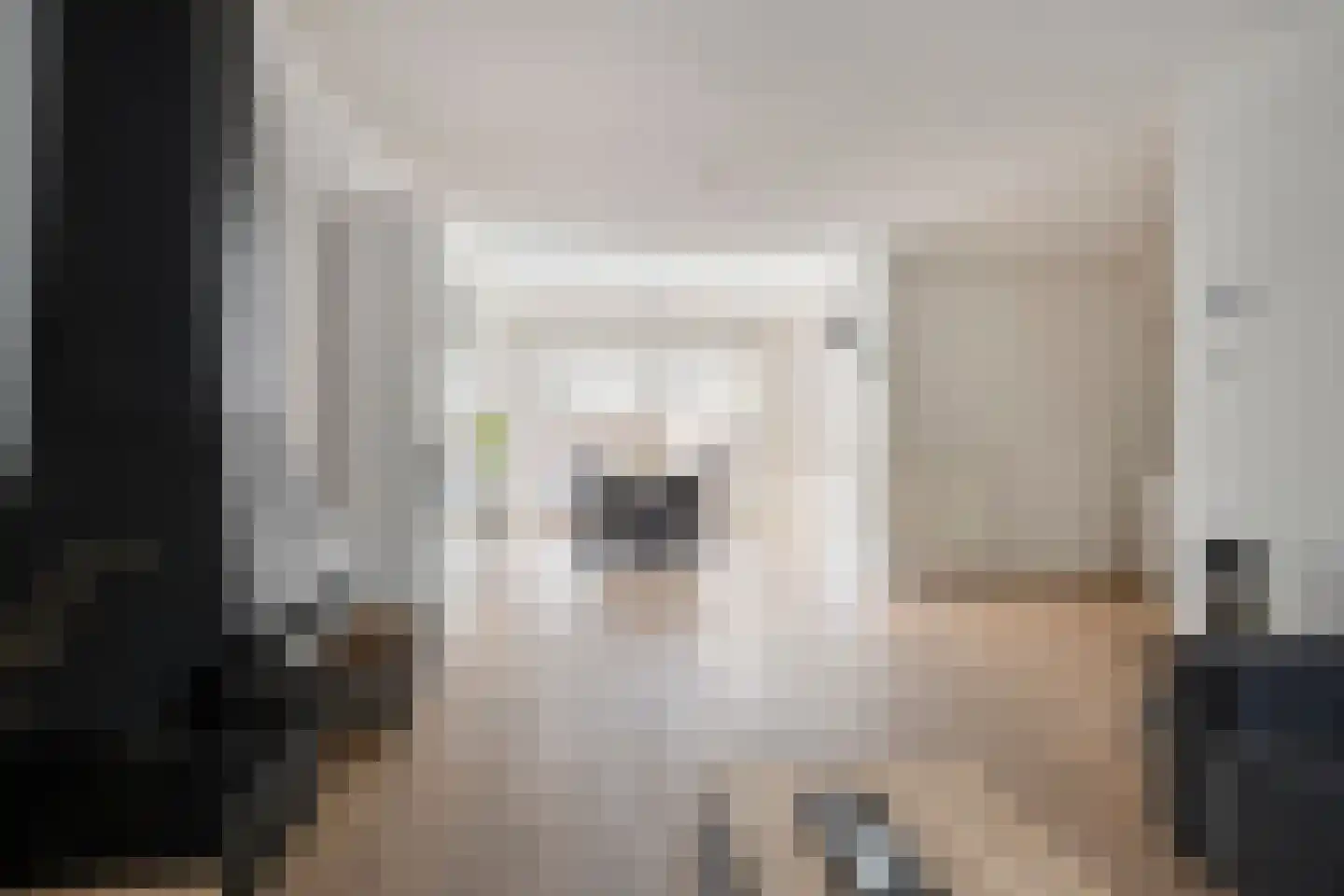 Waardstraat 9 Geldrop thumbnail 11