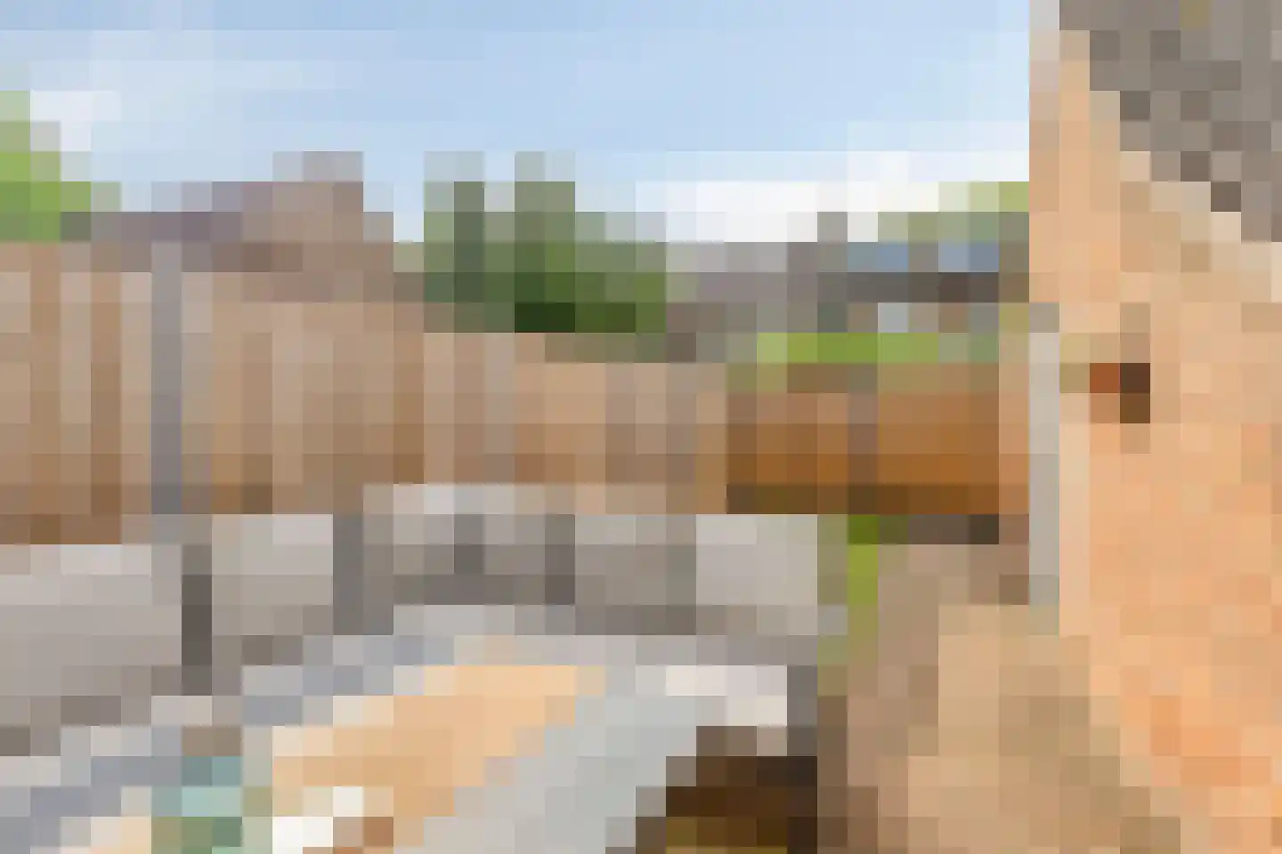 Waardstraat 9 Geldrop thumbnail 19