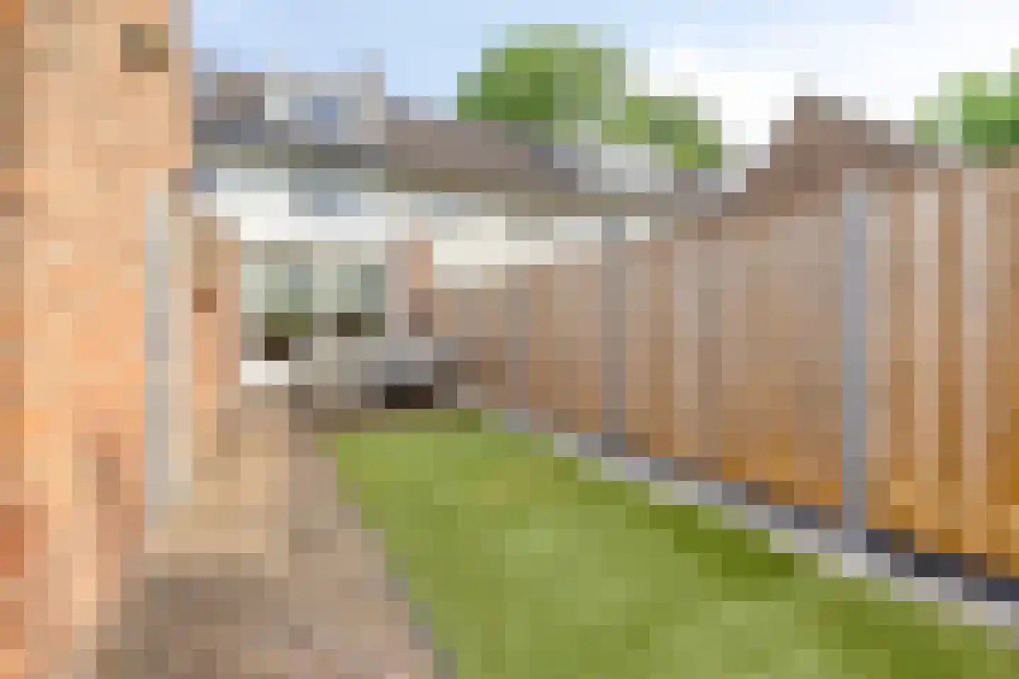 Waardstraat 9 Geldrop thumbnail 20