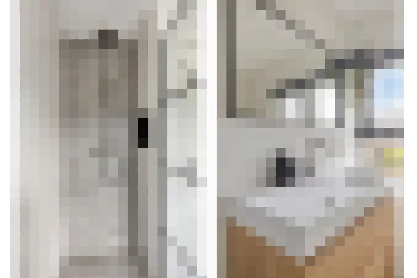 Waardstraat 9 Geldrop thumbnail 22