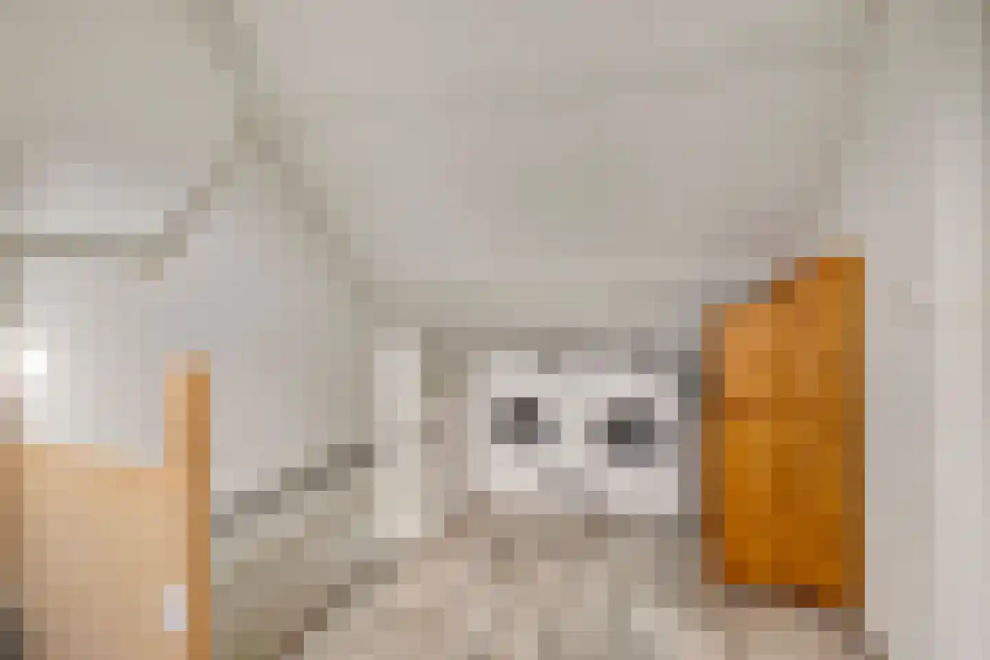 Waardstraat 9 Geldrop thumbnail 27