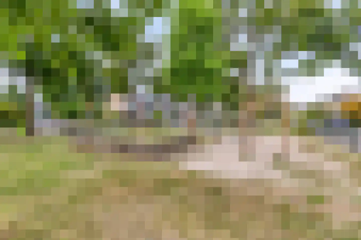 Waardstraat 9 Geldrop thumbnail 33