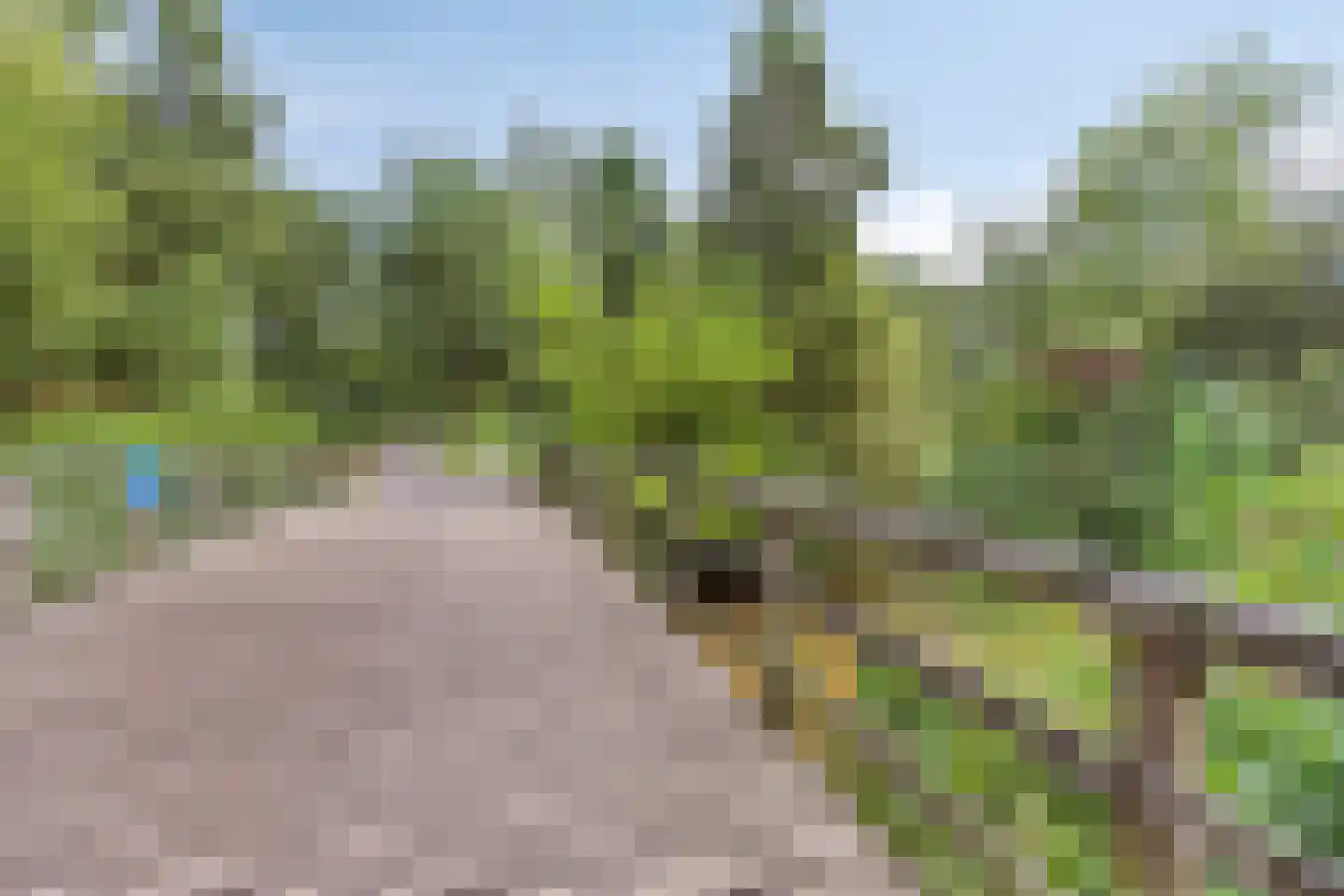 Waardstraat 9 Geldrop thumbnail 34