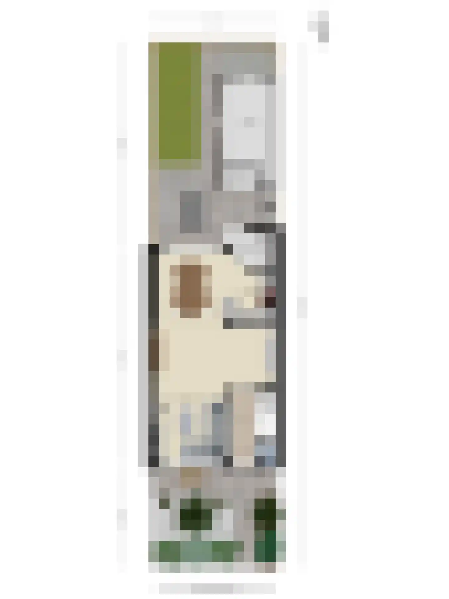 Waardstraat 9 Geldrop thumbnail 37