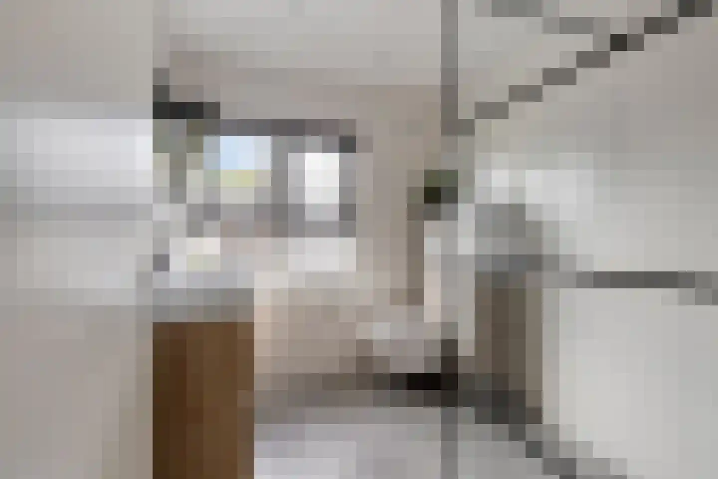 Waardstraat 9 Geldrop thumbnail 5