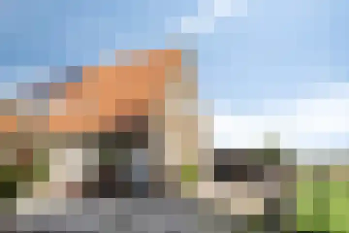 Waardweg 2 Middenmeer thumbnail 11