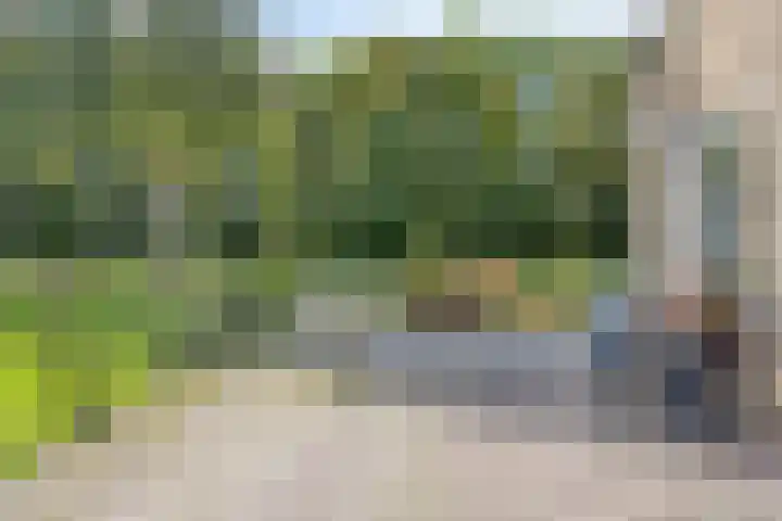 Waardweg 2 Middenmeer thumbnail 12