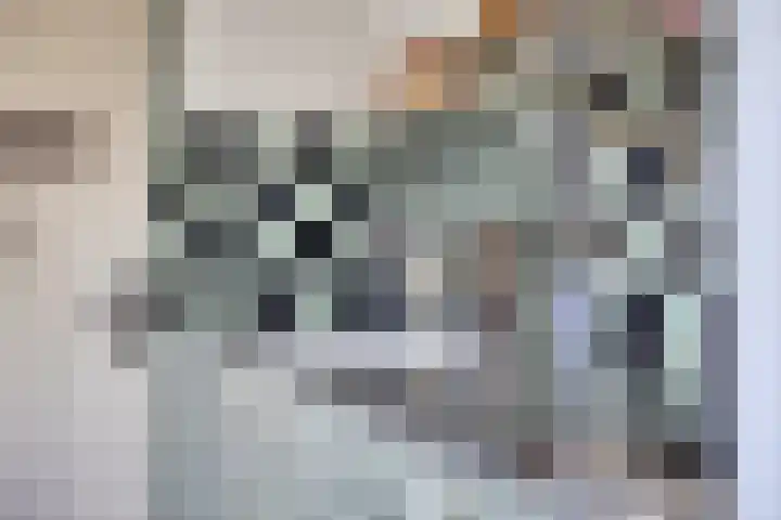 Waardweg 2 Middenmeer thumbnail 25