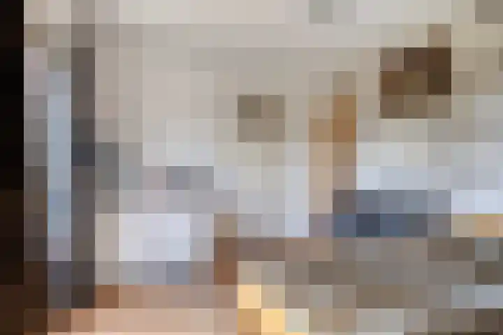 Waardweg 2 Middenmeer thumbnail 27