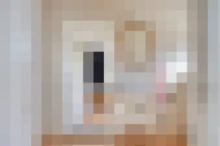 Waardweg 2 Middenmeer thumbnail 28