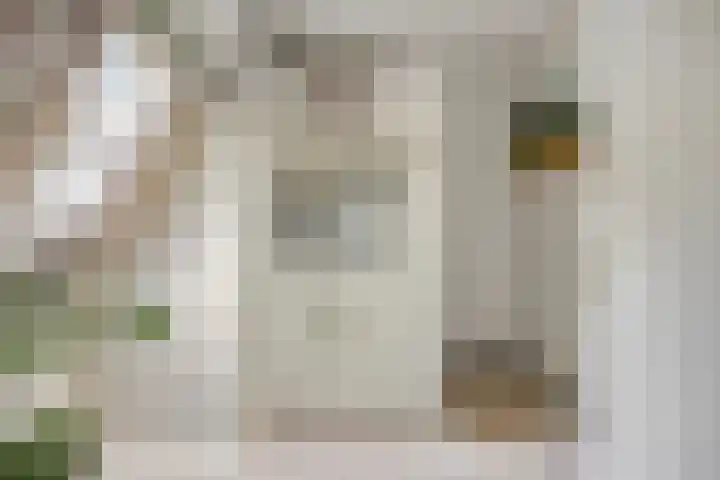 Waardweg 2 Middenmeer thumbnail 31