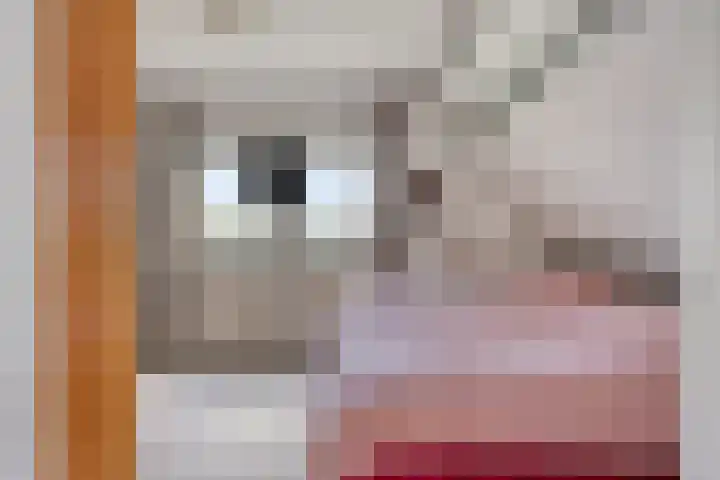 Waardweg 2 Middenmeer thumbnail 32