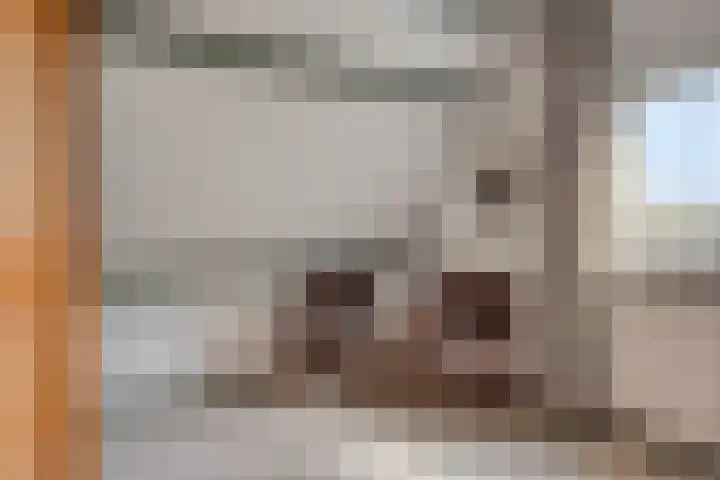 Waardweg 2 Middenmeer thumbnail 33