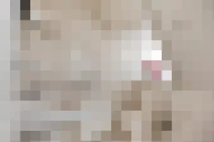 Waardweg 2 Middenmeer thumbnail 34