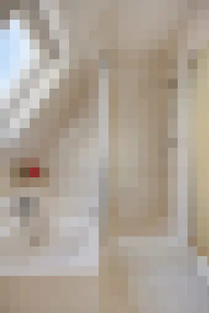 Waardweg 2 Middenmeer thumbnail 35