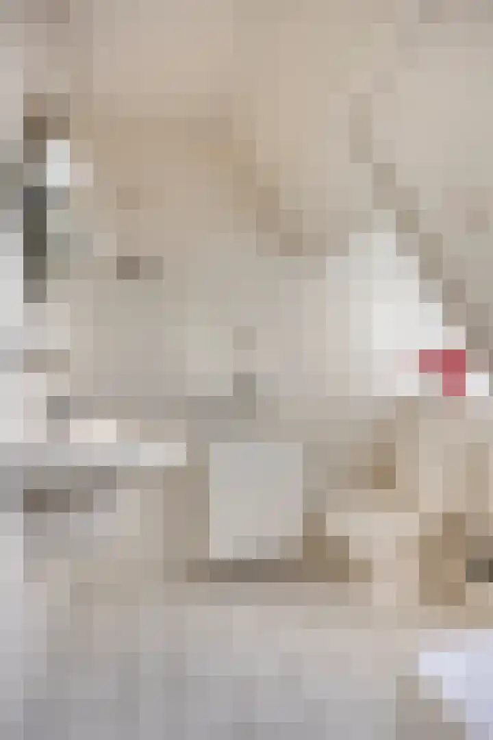 Waardweg 2 Middenmeer thumbnail 36