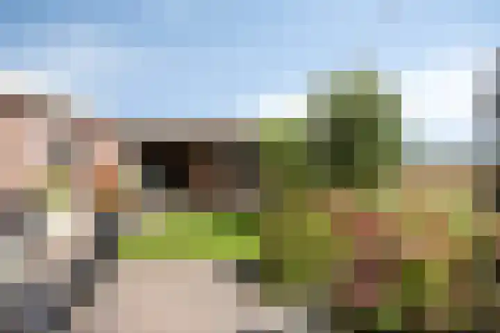 Waardweg 2 Middenmeer thumbnail 37