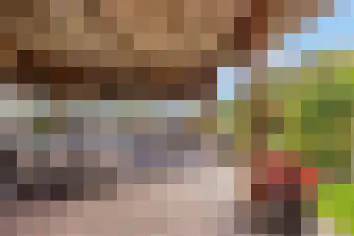 Waardweg 2 Middenmeer thumbnail 38