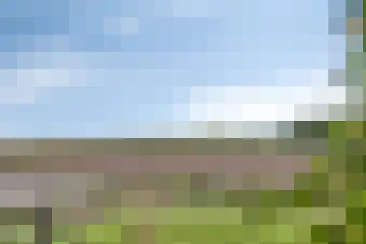 Waardweg 2 Middenmeer thumbnail 39