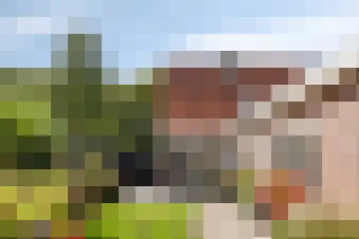 Waardweg 2 Middenmeer thumbnail 4