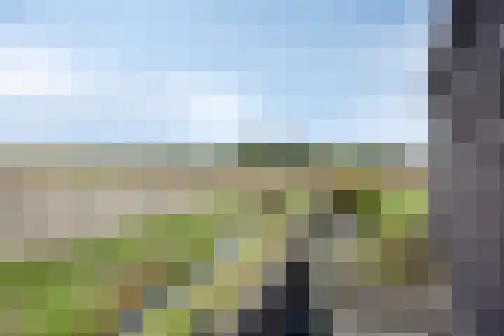 Waardweg 2 Middenmeer thumbnail 40