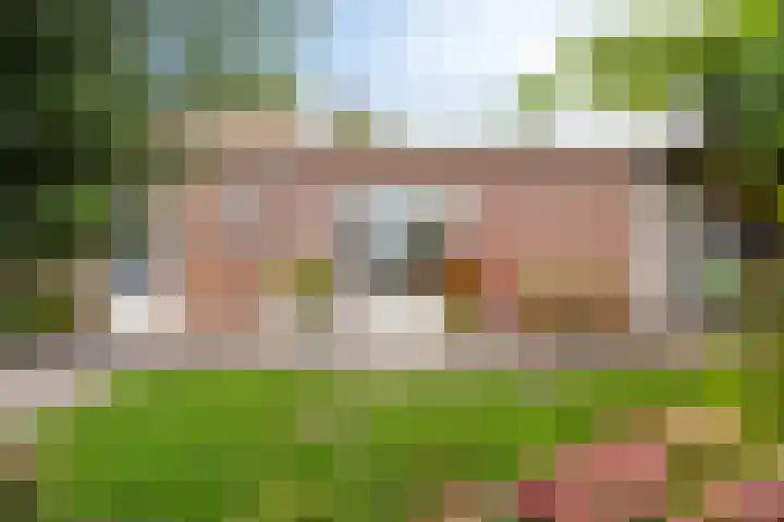 Waardweg 2 Middenmeer thumbnail 41